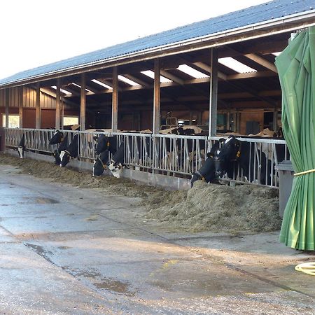 Boerderij "De Verwondering" Goudriaan Kültér fotó