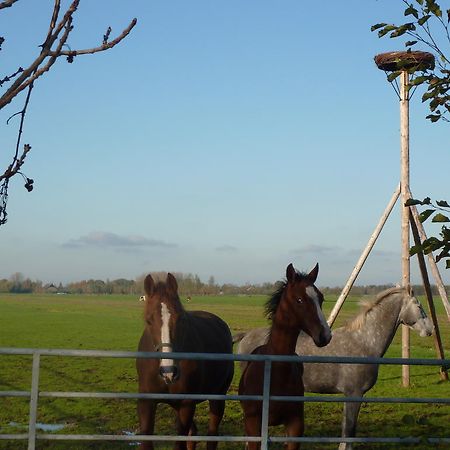 Boerderij "De Verwondering" Goudriaan Kültér fotó