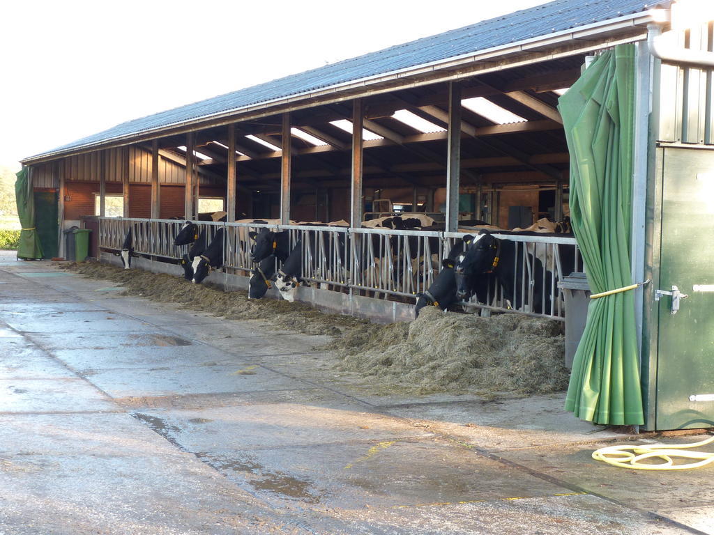 Boerderij "De Verwondering" Goudriaan Kültér fotó