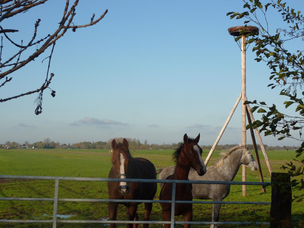 Boerderij "De Verwondering" Goudriaan Kültér fotó