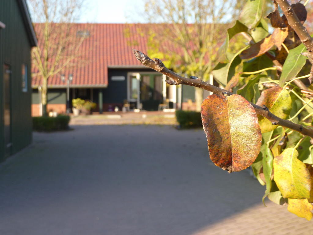 Boerderij "De Verwondering" Goudriaan Kültér fotó