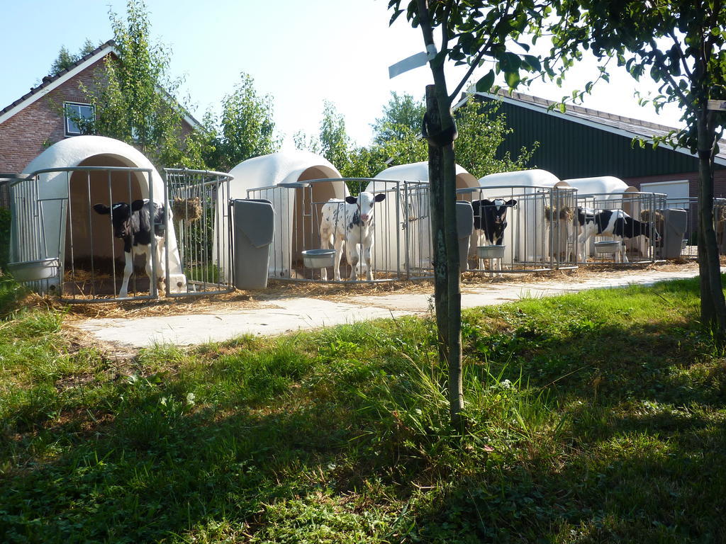 Boerderij "De Verwondering" Goudriaan Kültér fotó